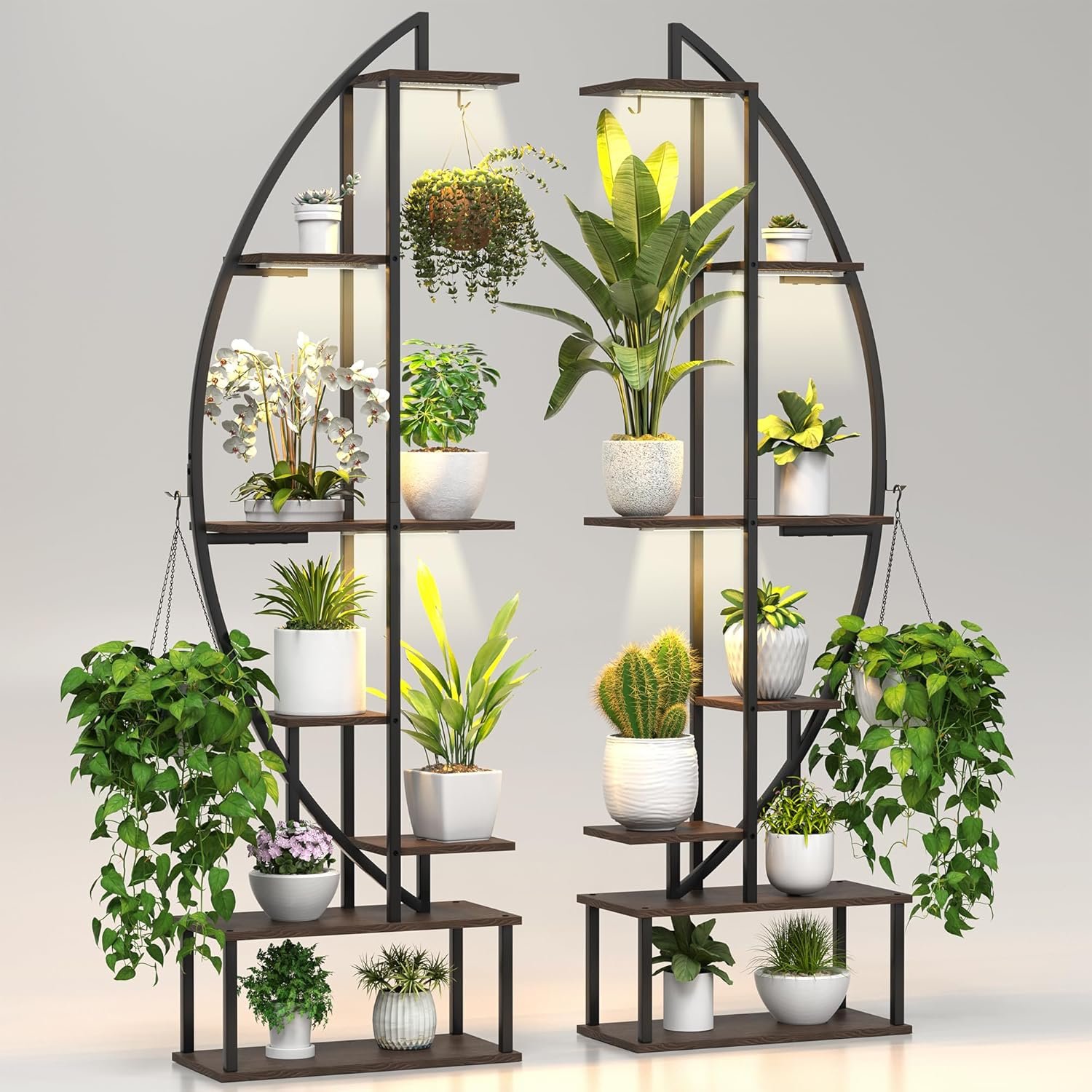 Plant Stand Indoor Tall with Grow Light, 7 Tier 65 Tall Plant Shelf with 6 Grow Lights for Indoor Growing, 2 Large Black Half Moon Lighted Tiered Plant Rack with Hanging Hook