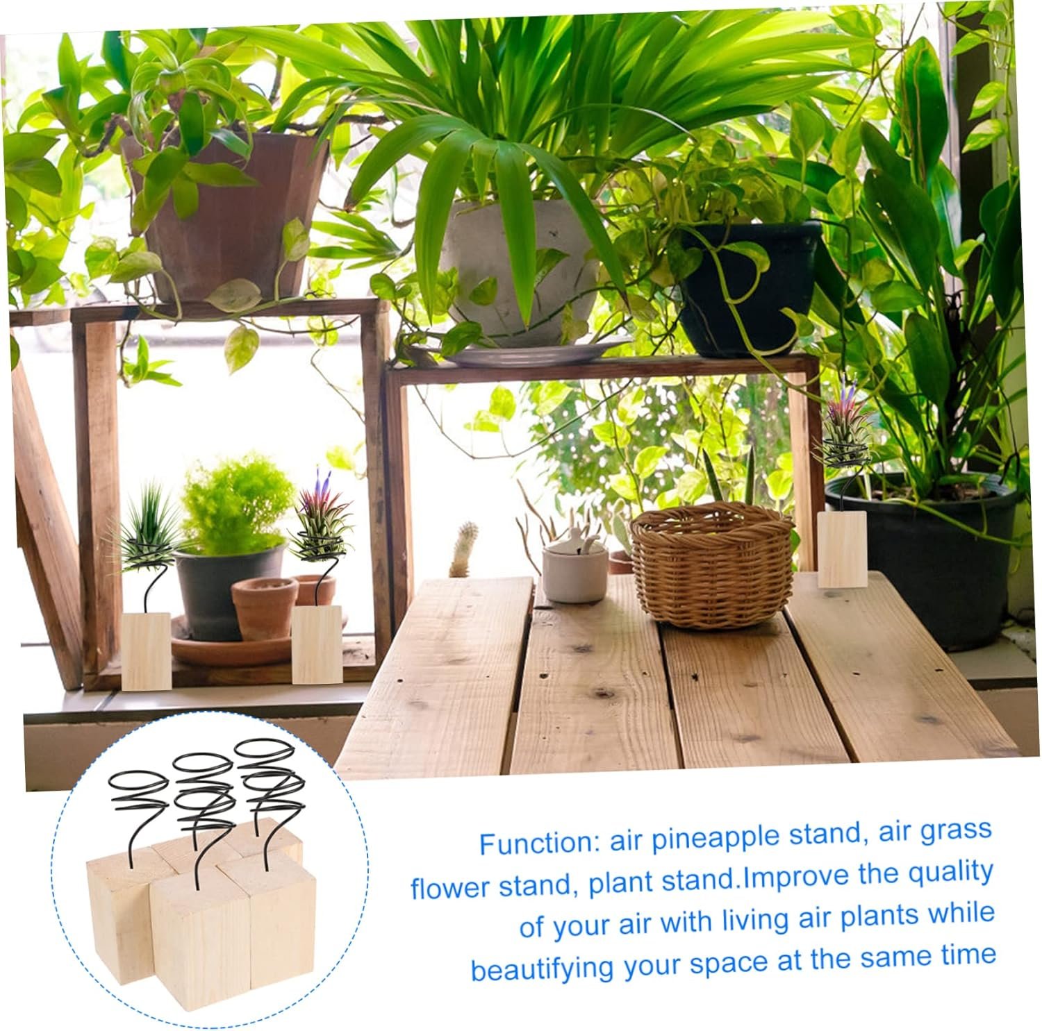 5pcs Air Pineapple Stand Indoor House Plants Plant Display Stand Air Plant Pot Air Plant Containers Tillandsia Stand Air Plants Desktop Stand Air Plant Rack