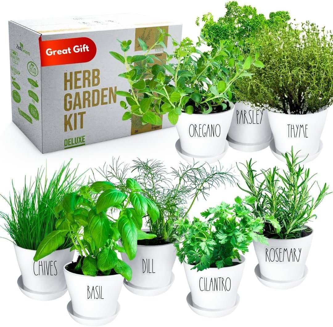 Deluxe Herb Garden Kit - 8 Variety Herbs for Indoor  Outdoor – Get Growing with Pots, Potting Soil for Window Herb Garden. (8 Herb)
