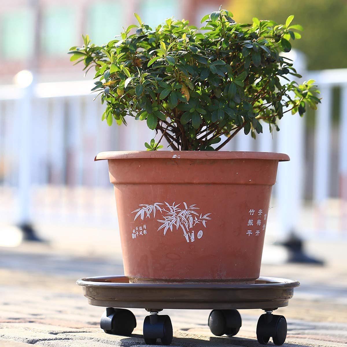 Circloophs 5 Packs Plastic Plant Caddy with Casters 12 Heavy-Duty Plant Dolly Rolling Plant Stand with Wheels for Moving Heavy and Large Plant Pot Saucers Plant Rollers Indoor and Outdoor, Black